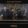 DAVID STYPKA - NEBOJ. - LP