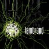 LAMB OF GOD - INTO OBLIVION - LP