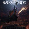 BLACK VEIL BRIDES - VINDICATE - LP