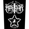 BP1253