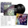 92203 masters hammer ritual black lp vinyl napalm records