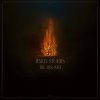 WAILIN STORMS - THE ARSONIST - CD