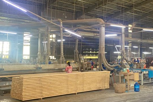 Návštěva výroby spárovky Hevea v Malajsii