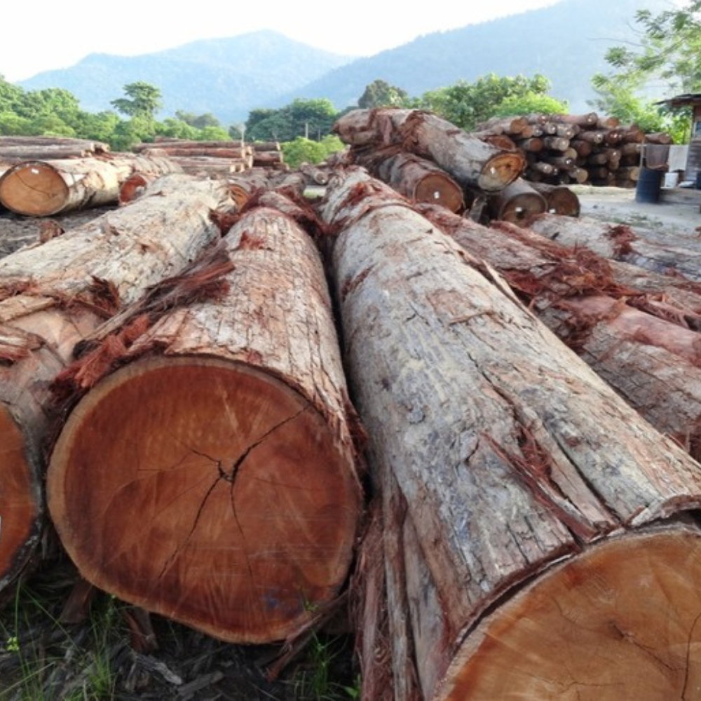 Všestranné využití hranolů z Dark Red Meranti