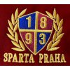 logo sft