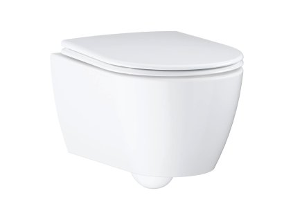 GROHE Essence - Závěsné WC, alpská bílá 3957100H