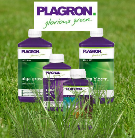 plagron