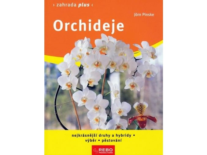 Orchideje