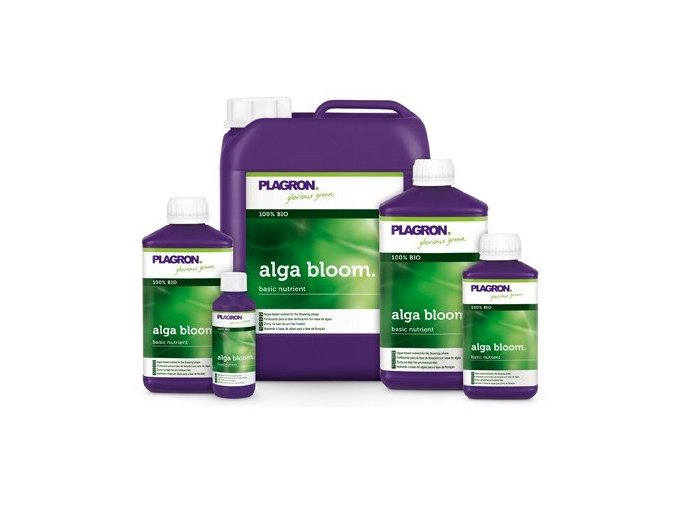 alga bloom