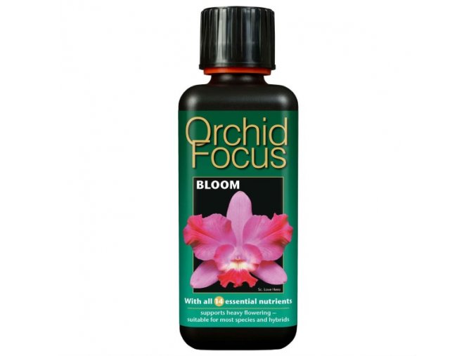 GT - Orchid Focus Bloom 300mL