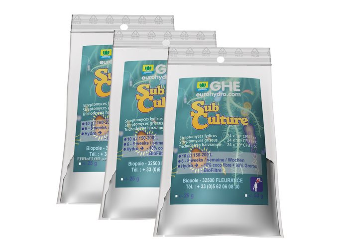 GHE SUBCULTURE