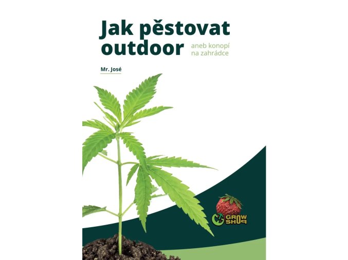 Jak pěstovat outdoor p