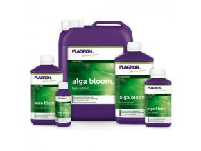 alga bloom