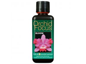 GT - Orchid Focus Bloom 300mL