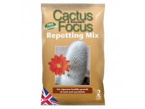 GT - Cactus Focus 2l