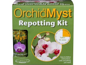 orchid repot