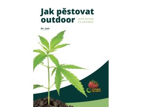 Jak pěstovat outdoor p