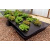 NFT Gro-Tank GT 604