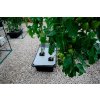NFT Gro-Tank GT 604