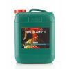 Canna Cannazym 10