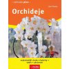 Orchideje