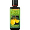 GT - Citrus Focus