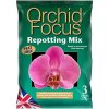 GT - Orchid Focus