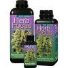 GT - Herb Focus