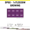 DP60 TLED26 GROW