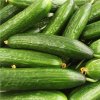 okurka hadovka paska f1 okurka seta salatova cucumis sativus semena 4 ks