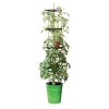 Grow Pot Tower Green