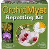 orchid repot