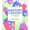 big kaktusy a sukulenty v praxi cLO 445010