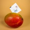 Integra Boost Terpene Essentials Myrcene, 62%