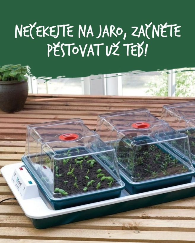 S vyhřívaným skleníkem Garland můžete pěstovat své oblíbené rostliny i v zimních měsících. Skleník nabízí ideální podmínky...