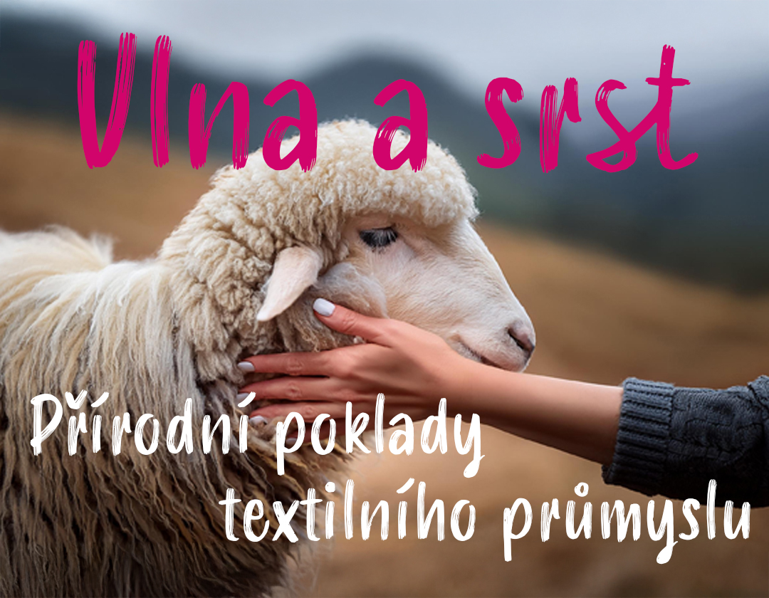 Vlna a srst – Přírodní poklady textilního průmyslu