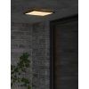 Screenshot 2026 03 01 at 13 10 14 Oja 29 Outdoor Square Ceiling light Black