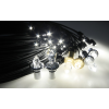 NEBO BUNDLE CRYSTAL 003