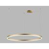 circle 100 g 1a