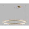 circle 120 g 1a
