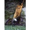 Zahradní zemní svítidlo NORDLUX Spotlight GU10 s bodcem 20789903