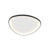 zambelis lights indoor ceiling decorative lamp distributor black metal mat luminary light 23090 1200x1600h