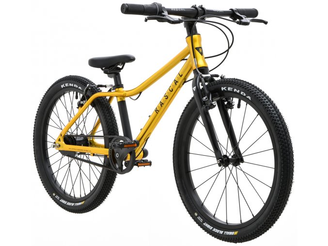 Dětské kolo Rascal 20"