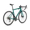 Silniční kolo Specialized Tarmac SL6 2022 Pine Green / Light Silver