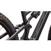 96826 31 LEVO SL EXPERT CARBON D (7) Spectrumbike