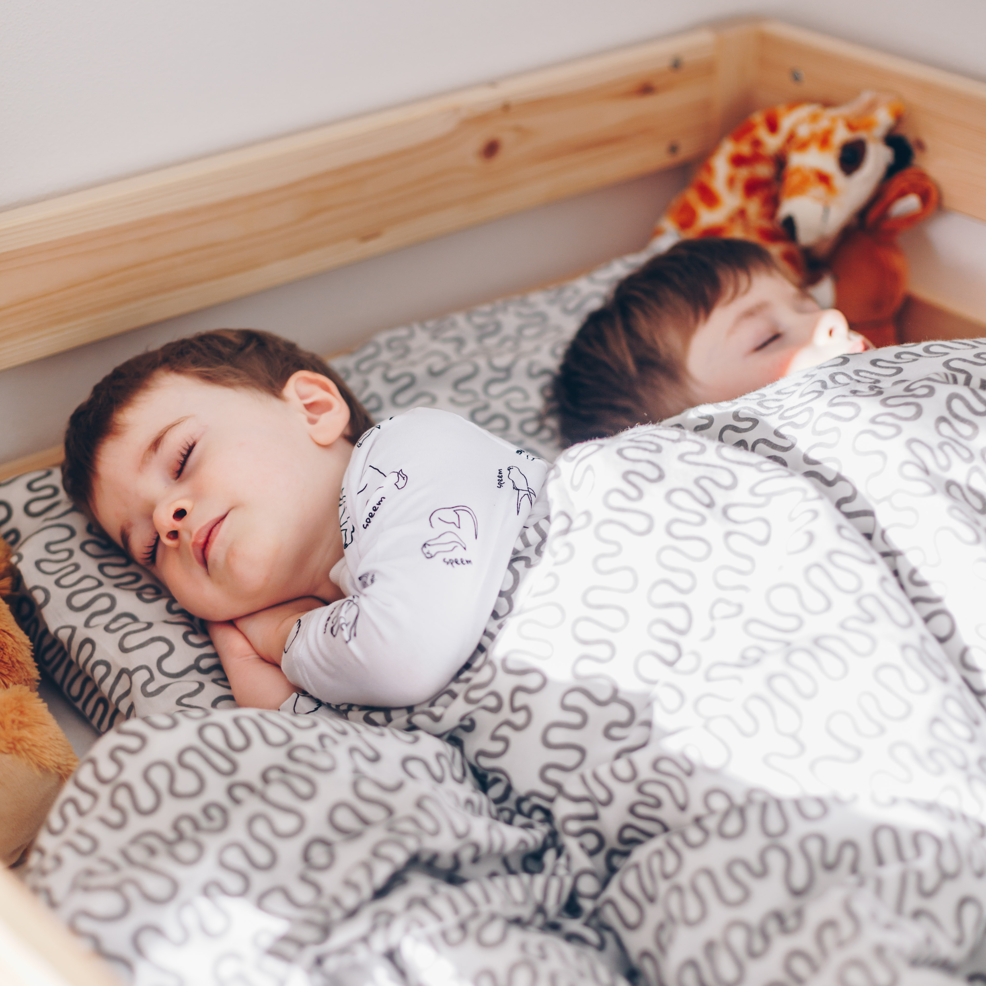 Od Denníka po SPEEM. Príbeh vzniku.