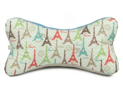 pariz 1
