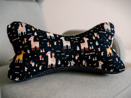 copy 4C09078A 55C6 4E84 87EF 46C8DF3F6532