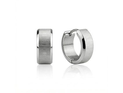DE664 - stainless steel earrings