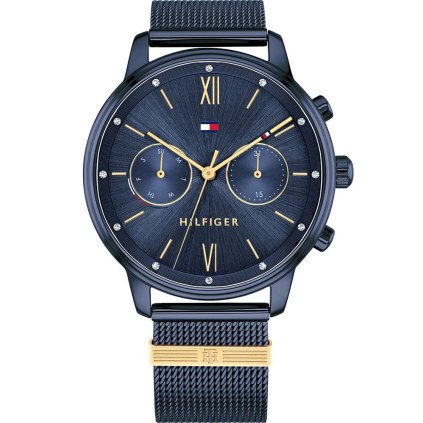 Hodinky TOMMY HILFIGER model BLAKE 1782305